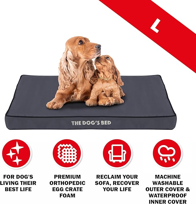 The Dog’s Bed Orthopedic Standard Foam Dog Bed Mattress, Oxford Fabric, Grey with Black Trim, Large