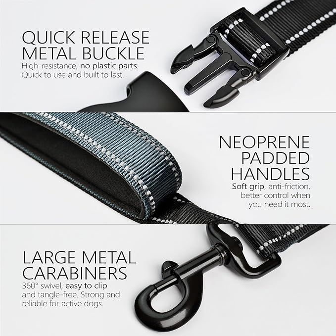 Waist Leash for Dog Walking, Running Leash for Dogs with Metal Quick-Release Buckle, Shock-Absorbing Rope Bungee, Neoprene Lumbar Support - Comfortable Hands Free Control for Daily Walks