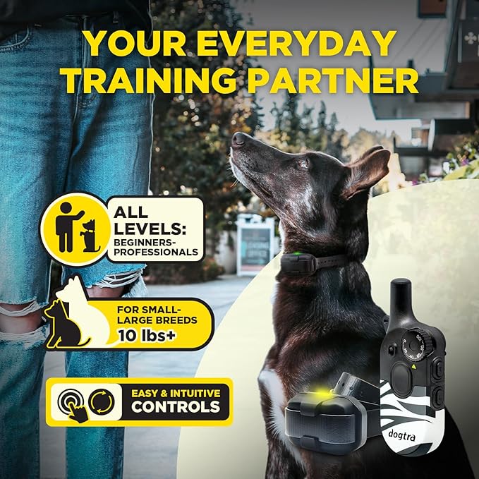 Dogtra 200iQ Remote Training E Collar – 100 Levels, Tone, Vibration, 1/2 Mile Range – Compact, Waterproof, One-Handed Control for Dogs 10 lbs+ – Lightweight Design for Daily Training – Zebra