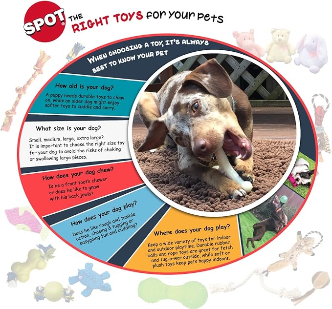 SPOT Interactive Seek-A-Treat Shuffle Bone Dog Toy Puzzle | Dog Treat Reward Toy Improves Your Dog's IQ | Specially Designed for Training Treats