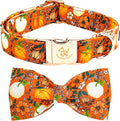 Elegant little tail Halloween Dog Collar, Pumpkin with Flower Print Halloween Pet Collars Puppy Collar with Bow Cute Adjustable Collars for Small Medium Large Dogs