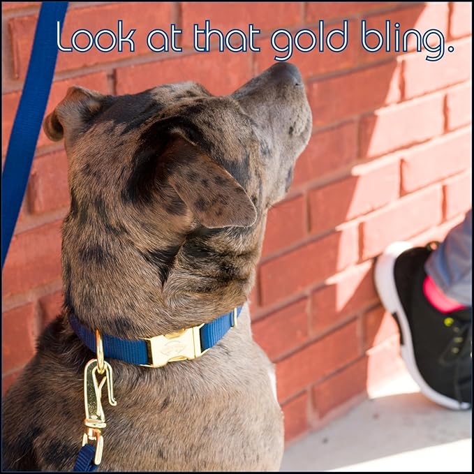 Country Brook Petz - Premium Nylon Dog Collar with Metal Buckle for Small Medium Large Breeds - 10+ Cool Colors (Large, 1 Inch, Navy Blue)