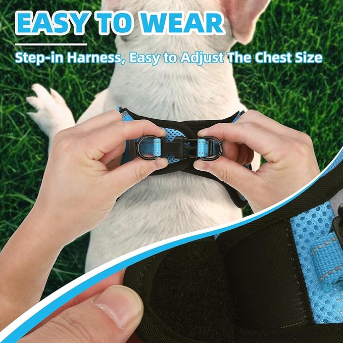 PUPTECK No Pull Dog Harness Small Sized Dog, Adjustable Reflective Escape Proof Easy Control, Comfortable Soft Padded Step in Pet Vest Harness, Blue, XS