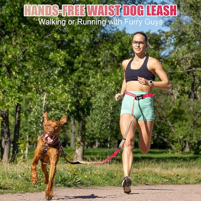 Heavy Duty Hands Free Dog Leash, 4-6 FT Reflective Adjustable Waist Dog Leash Belt with Padded Handles, Shock Absorbing Bungee and Car Seat Belt for Large Medium Dogs (Gradient Rose, L)