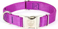 Country Brook Petz - Premium Nylon Dog Collar with Metal Buckle for Small Medium Large Breeds - 10+ Cool Colors (Extra Large, 1 Inch, Bright Purple)