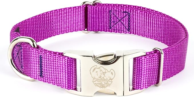 Country Brook Petz - Premium Nylon Dog Collar with Metal Buckle for Small Medium Large Breeds - 10+ Cool Colors (Extra Large, 1 Inch, Bright Purple)