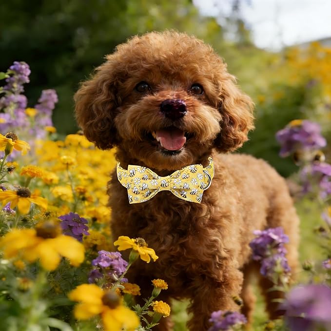 Lionet Paws Spring Dog Collar with Bow tie,Cute Summer Bees Yellow Dog Collar Bow Tie for Dogs Female, Medium, Neck 13.5-22 inches