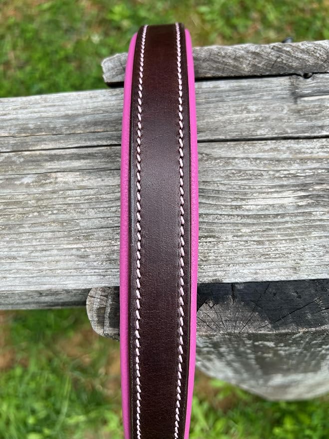 Leaders Leather Dog Collar with Customized Name Plate (Pink/Brown Large (18"-22"))