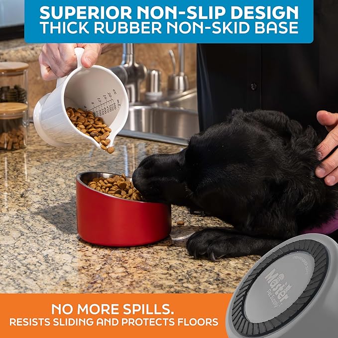 Master Pet Supply Stainless Steel Slanted Dog Cat Food Bowl - 16 oz Heavy Duty - Graphite, Double Wall Insulated, Non-Slip Elevated Bowl for French Bulldogs Pugs Cats, Anti Rust Dishwasher Safe