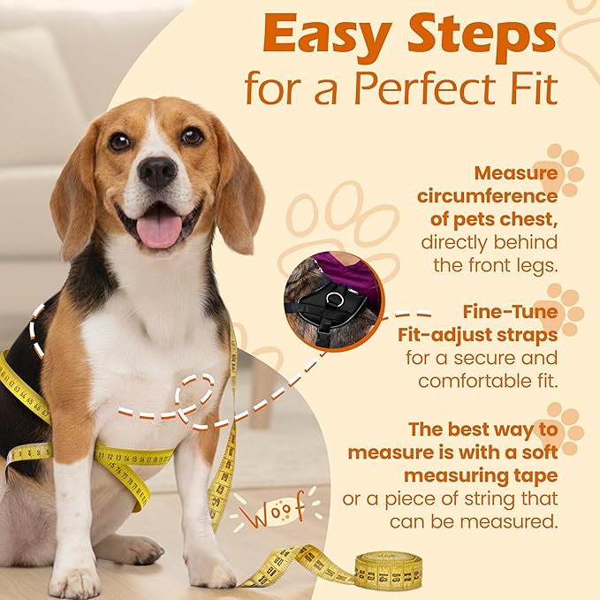 Bark Appeal Black No-Pull Dog Harness for XS to Small Sized Pets – Adjustable, Reflective Vest with 3 Leash Clips for Added Control, Easy Walks & Training – Small