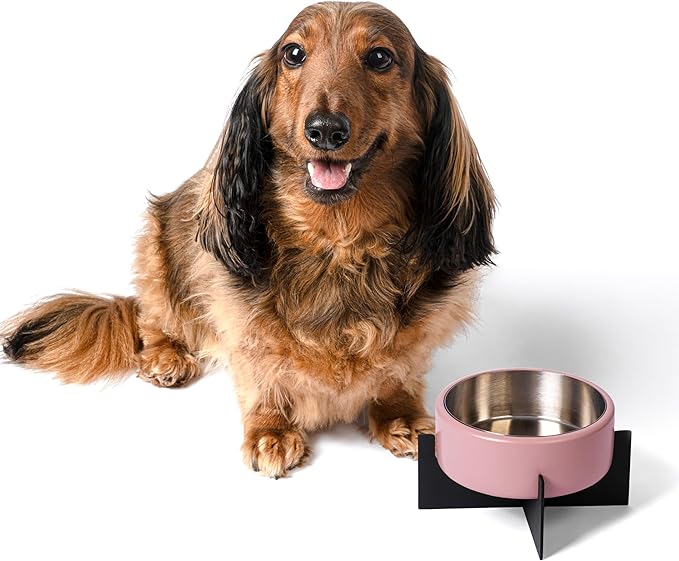 DBL3000D Intersecta Small/Medium Concrete and Stainless Steel Bowl 16oz (2 Cups) with Metal Stand Pet Feeder, Pink/Black