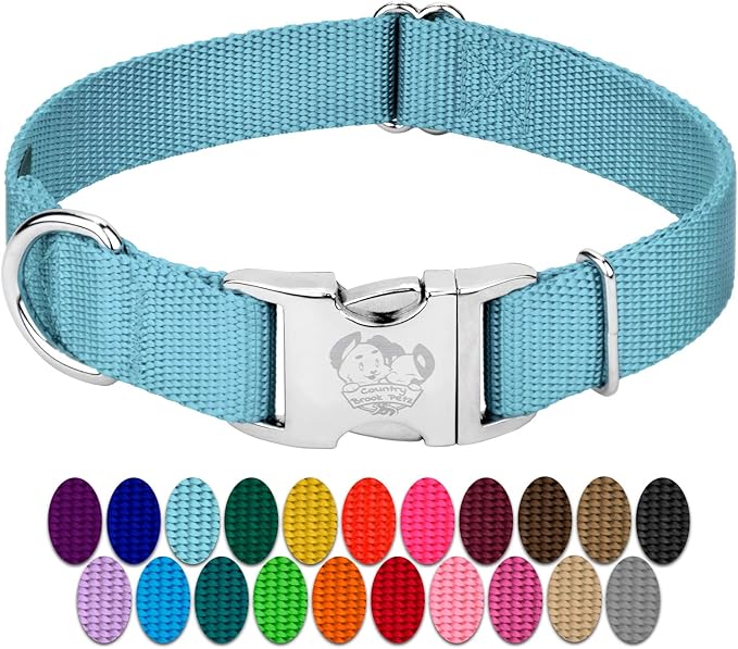 Country Brook Petz - Premium Nylon Dog Collar with Metal Buckle for Small Medium Large Breeds - 10+ Cool Colors (Medium, 3/4 Inch, Ocean Blue)