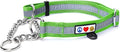 Pawtitas Martingale Dog Collar with Chain a Reflective Dog Training Collar for Large Dogs | Nylon No Pull Dog Collar for Large Dog - Green