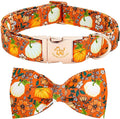 Elegant little tail Halloween Dog Collar, Pumpkin with Flower Print Halloween Pet Collars Puppy Collar with Bow Cute Adjustable Collars for Small Medium Large Dogs