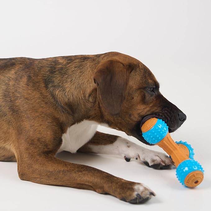 SPOT Bam-Bones PLUS Gigglers Tripod Durable Dog Chew Toy, For Large Aggressive Chewers, Bamboo Fiber & Nylon, Dual Texture, Massaging Rubber Ends, Sounds, Non-Splintering, Peanut Butter Flavor, 6 Inch