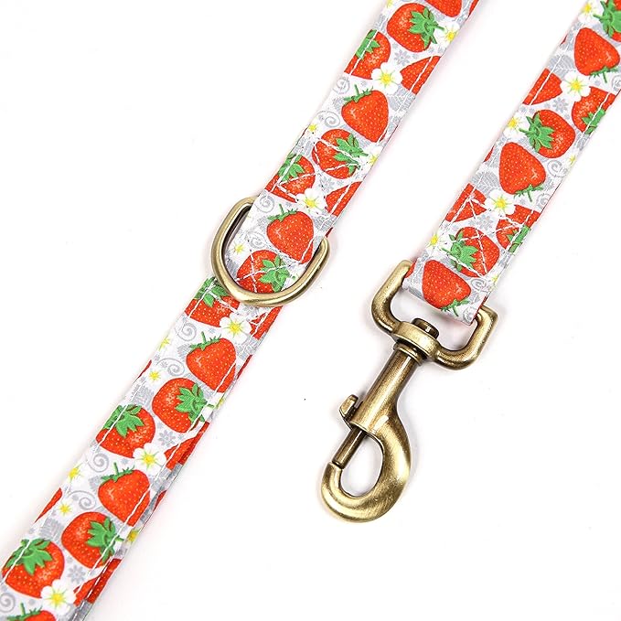 Organic Cotton Dog Leash for Small,Medium and Large Breed,Brass Hardware Pet Leash for Walking,Running and Training 6FT