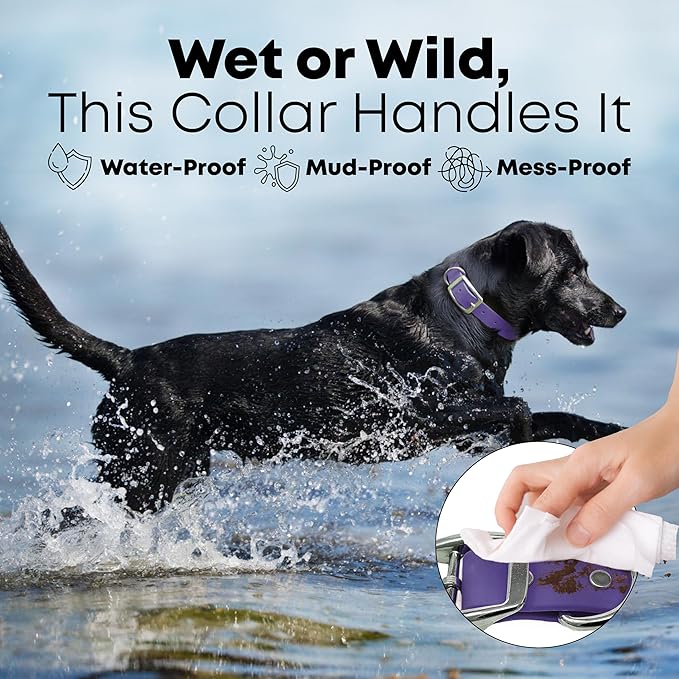 Regal Dog Products Small Purple with Custom Engraved Waterproof Dog Collar and Leash Set | Waterproof Dog Collar with Double Buckle & D Ring - 5'ft Leash | Matching Dog Collar and Leash for Dogs