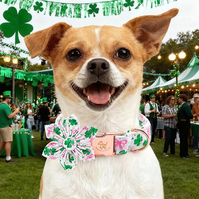 Elegant little tail St Patrick's Dog Collar - Green Lucky Clover Cotton Shamrock Pet Collar Flower Cute Pink Collars with Flower Adjustable Pet Collars for X-Small Dogs