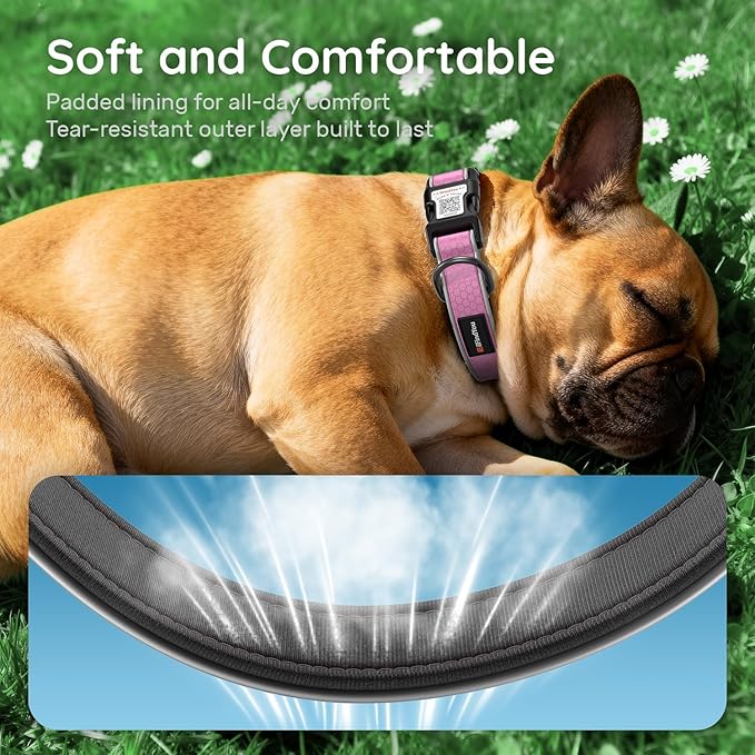 Reflective Dog Collar with QR Code Tag, Personalized Dog Collar, Safety Night Visibility, Anti-Loss Function (Pink-02, Small)
