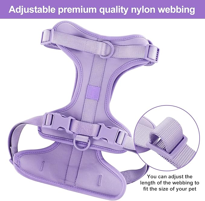 No Pull Lightweight Dog Harness: Adjustable Durable Breathable Mesh Pet Vest Harness with Soft & Comfortable Cushion, for Small Medium Large Dogs (Lilac, XS)