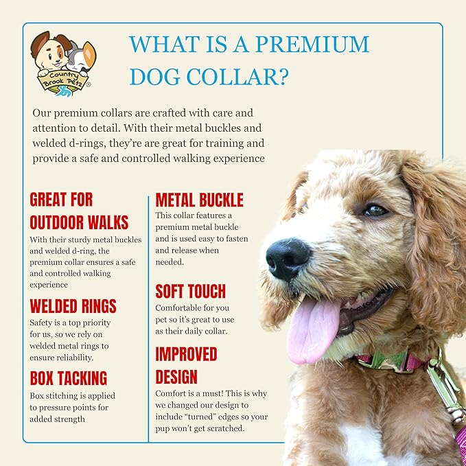 Country Brook Petz - Premium Nylon Dog Collar with Metal Buckle for Small Medium Large Breeds - 10+ Cool Colors (Large, 1 Inch, Royal Blue)