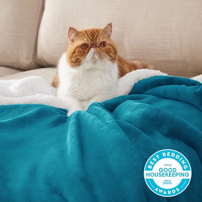 Bedsure GentleSoft Sherpa Fleece Blanket Queen Size for Bed, Non-Heated, Thick and Warm Throw for Women and Men, Soft Fuzzy Plush Queen Blanket for Winter, Teal, 90x90 Inches