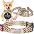 Lucky Love Dog - Easy Click Buckle Dog Collar with Leash Set Combo, Durable & Comfortable for Male & Female Dogs, Pet Collar for Small Dogs, Secure Fit - Pongo Combo, Small