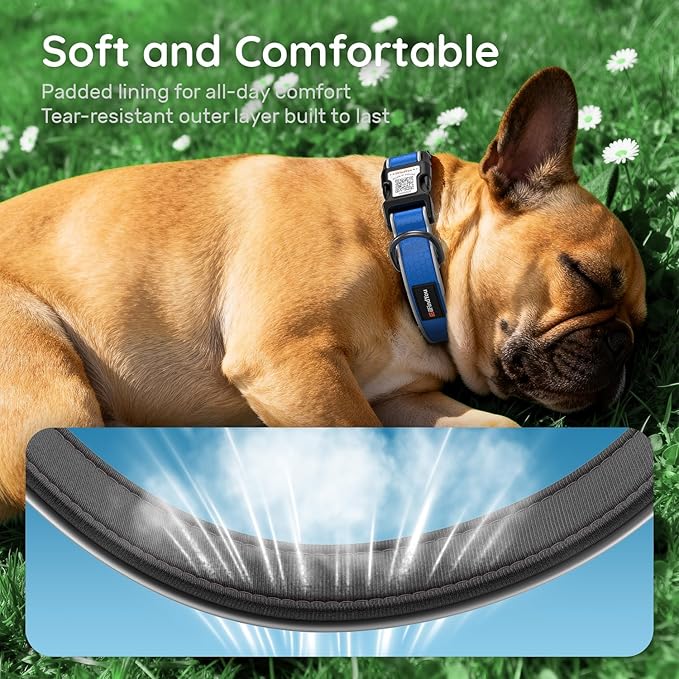 Reflective Dog Collar with QR Code Tag, Personalized Dog Collar, Safety Night Visibility, Anti-Loss Function (Blue-02, Medium)