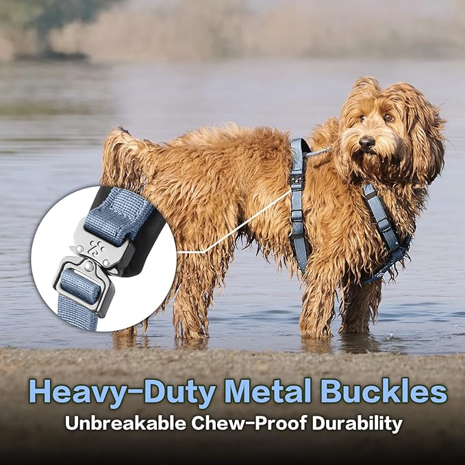 PawsPassion Dog Harness for Small Dogs, No Pull Dog Harness Easy Walk with Metal Hardware, Ergonomic Y-Shaped Design, Soft Padding, Padded Handle, Durable High-Tensile Nylon (Horizon, S)