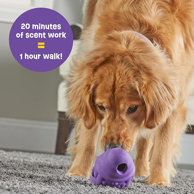 Brightkins Tough & Tumble Treat Dispenser Large Gnome - BPA Free Enrichment Treat Dispensing Dog Toy for Aggressive Play (Pack of 2)