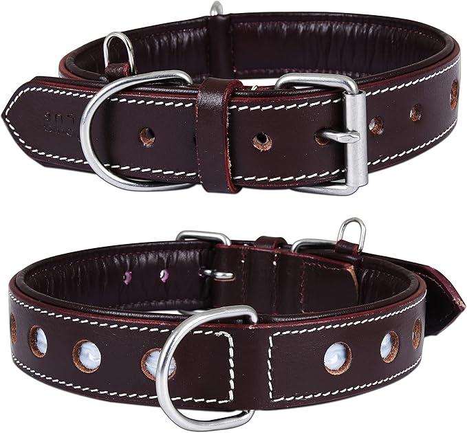 Genuine Leather Reflective Dog Collar | Stellar Series | Safe for Night Walking | Soft, Cushion Padding, Handmade | Best for Small, Medium, Large, (Medium (Fit Neck Size 14.5"-18.5"), Garnet)