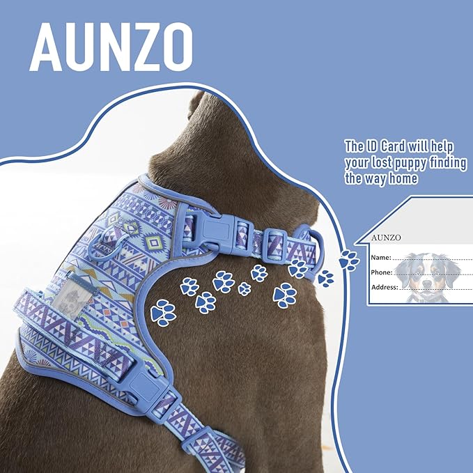No Pull Dog Harness for Small Dog Breeds, Anti-Escape Easy Walking Reflective Adjustable Lightweight Dog Vest with Breathable Oxford Material, Easy on Easy Off with Neck Buckle,Blue Ethnic XS