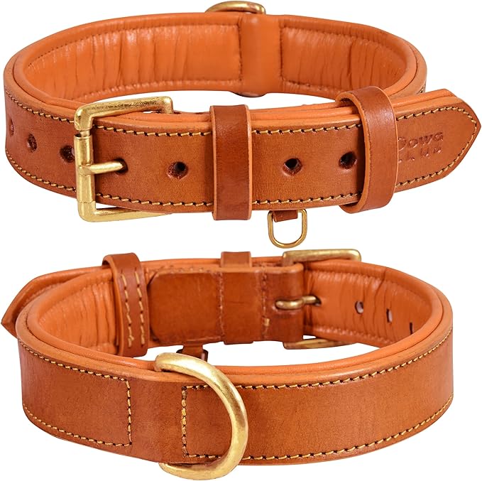 Leather Dog Collar for Medium Dogs, Orange, 1 Inch Wide, Genuine Leather, Heavy Duty with Soft Inner Padding, Comfortable and Durable (Medium (Fit Neck Size 14.5"-18.5"), Tangerine Orange)