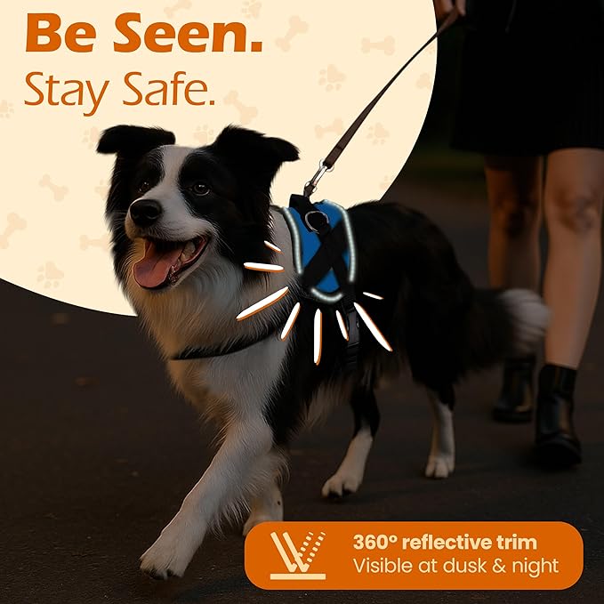 Bark Appeal Aqua Blue No-Pull Dog Harness for Extra Small Sized Pets – Adjustable, Reflective Vest with 3 Leash Clips for Added Control, Easy Walks & Training – XS
