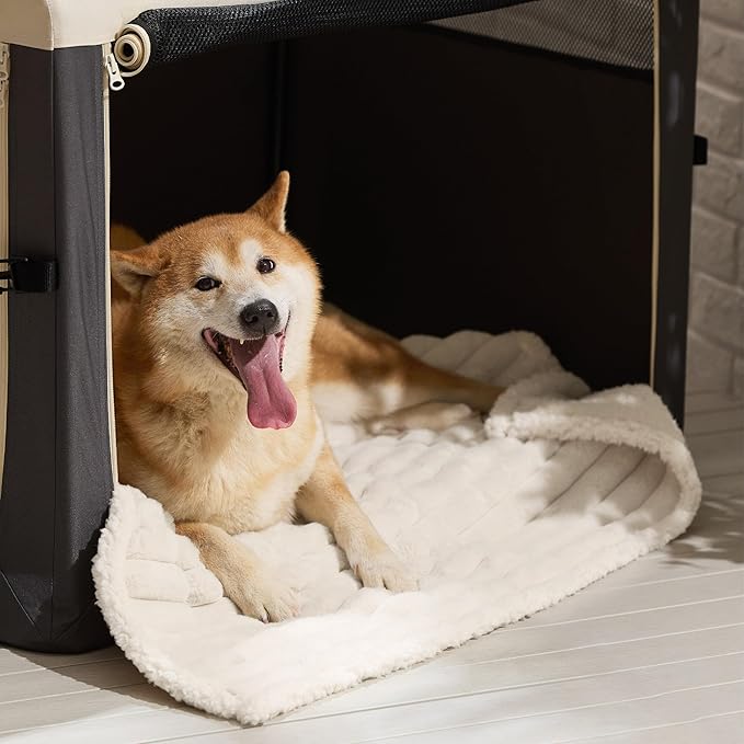 Bedsure ComfyFleece Waterproof Dog Blankets for Large Dogs - Soft Pet Cat Blanket Corduroy Fleece for Couch Protector Washable, Cozy Calming Reversible Furniture Protection,40"x50", Cream