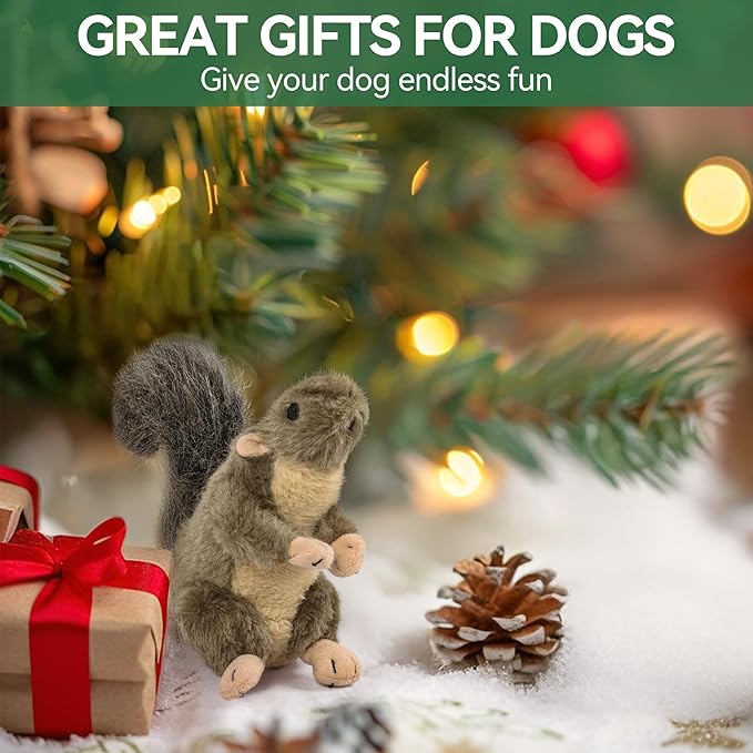 ALL FOR PAWS Squeaky Dog Toys, Plush Squirrel Dog Toy, Stuffed Animal Dog Toys for Small Medium Large Dogs, Soft Puppy Chew Toy with Squeaker