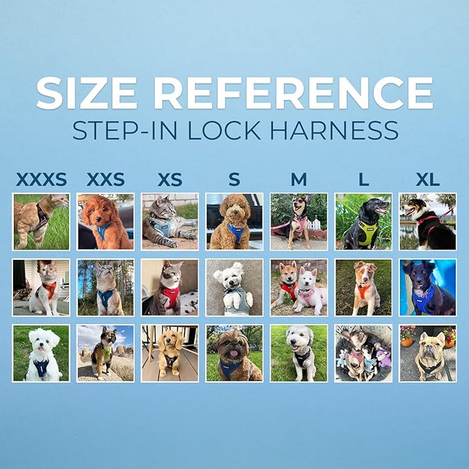 Voyager Step-in Pet Harness - All Weather Mesh, Adjustable Step in Harness for Cats and Dogs by Best Pet Supplies - Baby Blue/Black Trim, L