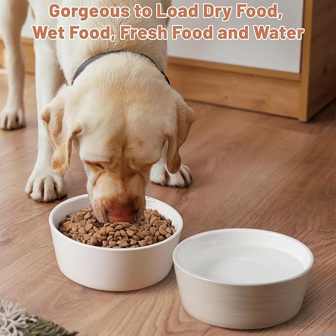Small Dog Bowls, Non Slip Ceramic Dog Food and Water Bowsl with Silicone Base, Heavy Pet Feeding Bowl for Cats, Puppies and Small-Sized Dogs (White-2 Pack, 6 Inches)