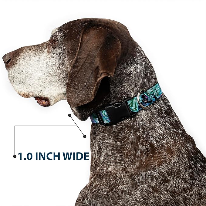 Dog Collar Plastic Clip Classic Batman Issue 1 Robin Batman Cover Pose Yellow Red 8 to 12 Inches 0.5 Inch Wide
