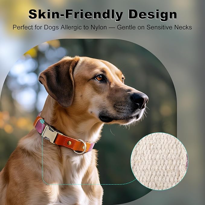 Plutus Pet Genuine Leather & Hemp Dog Collar – Adjustable Heavy Duty Pet Collar with Quick Release Metal Buckle, Soft & Stylish for Puppy and Small, Medium, Large Dogs (Purple, L)