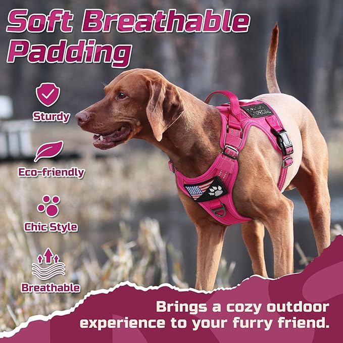 rabbitgoo Tactical Dog Harness for Small Dogs, No Pull Military Service Vest with Handle & Molle, Easy Control for Training Walking, Adjustable Reflective Straps, Rose Red, S