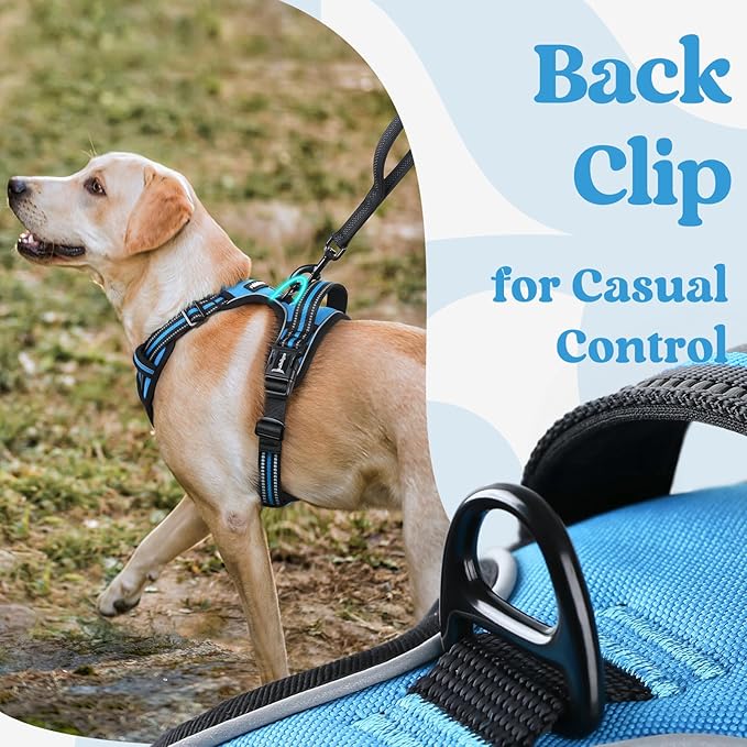 rabbitgoo Dog Harness Medium Sized, No Pull Pet Harness with 3 Buckles, Adjustable Soft Padded Vest with Control Handle, Walking Reflective Pet Vest for Medium Dogs, Sky Blue, M