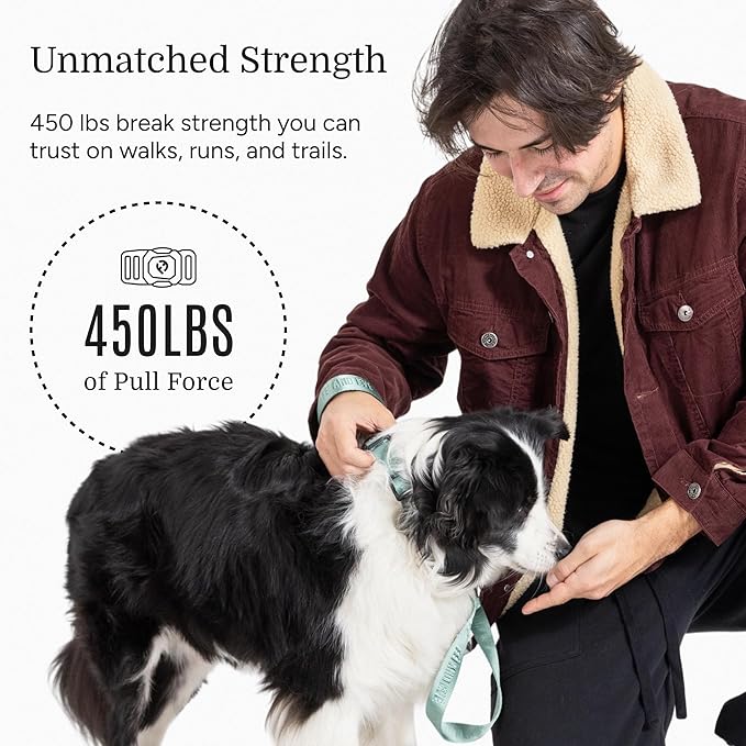 2026 New Edition, Fei & Eve MagEase Dog Collar - Patented Magnetic Buckles | Fur-Safe | Premium 210D Nylon | 450LB Escape-Proof | Adjustable Fit | Large (Glacier Green)