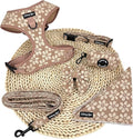 Medium Dog Collar and Harness Set – No Pull, All-Weather, Breathable Harness & Leash Set with Collar, Bandana, Sailor Bow & Poop Bag Holder – Adjustable & Soft - Cocoa Bloom on Jacquard Fabric