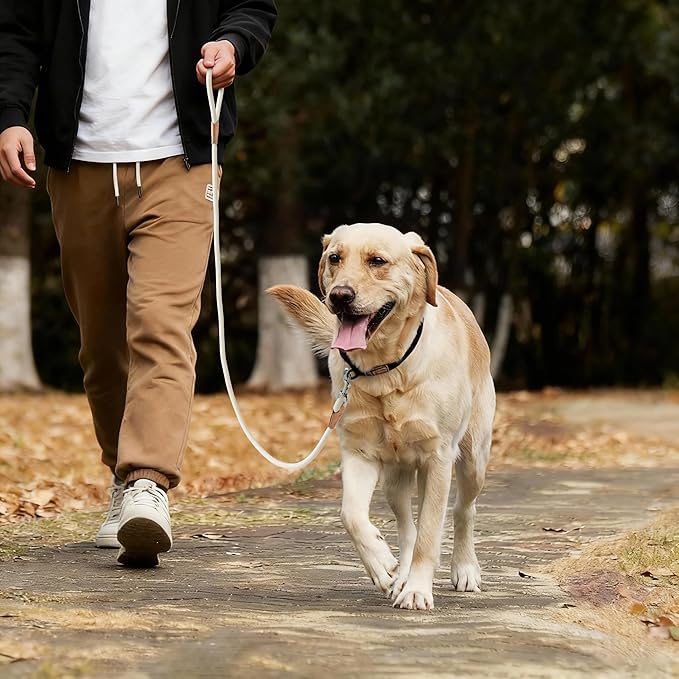 Mile High Life Dog Leash, Rope Leash with Genuine Leather Connection and Heavy Duty Metal Clasp, Great for Small Medium Large Dogs(Cream White,60 Inch)