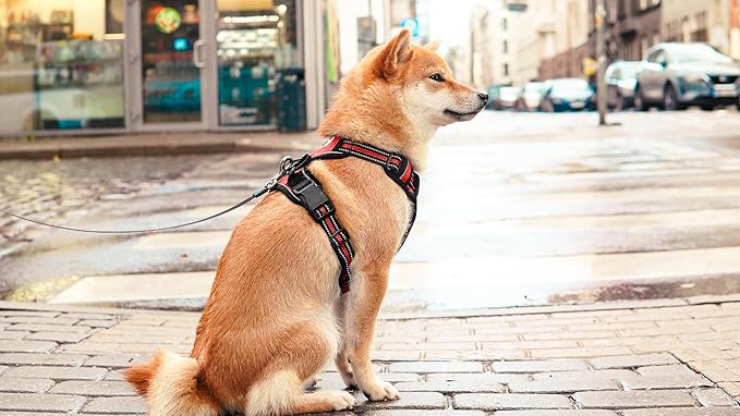 Ziggy Pet Dog Harness Adjustable Nylon Mesh Vest with Leash Clips (Red, Large)
