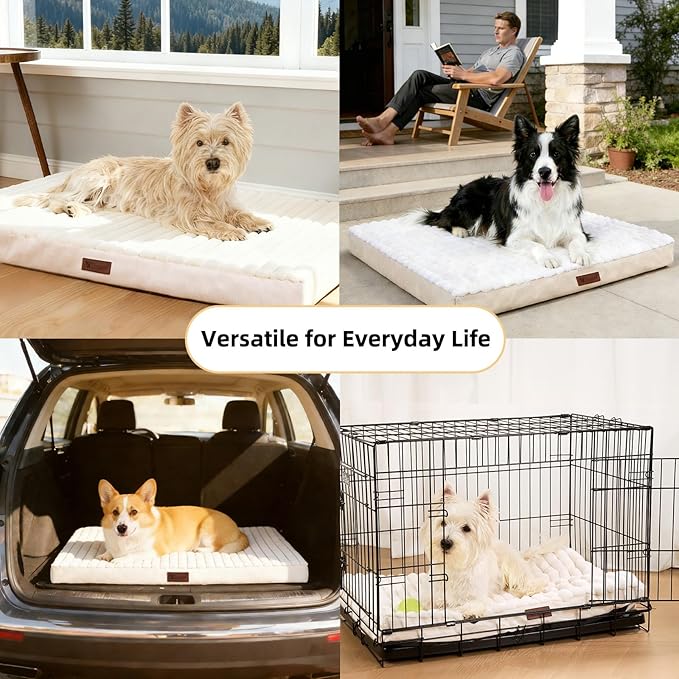 Orthopedic Dog Bed with Firm High-Density Egg Crate Foam Mattress,Machine Washable Cover & Non-Slip Bottom for Small Breeds & Toy Dogs (Beige, 23" L x 17" W x 3" H)