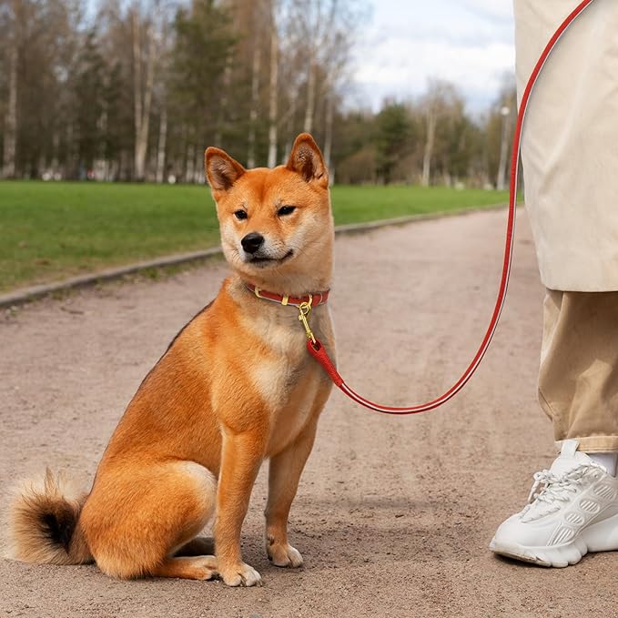 OOPSDOGGY Reflective Rolled Leather Dog Leash 6ft - Soft Training Lead for Small Medium Large Dogs Puppy - Heavy Duty Rope Puppies Leash for Outdoor Walking Running (Red, Small)