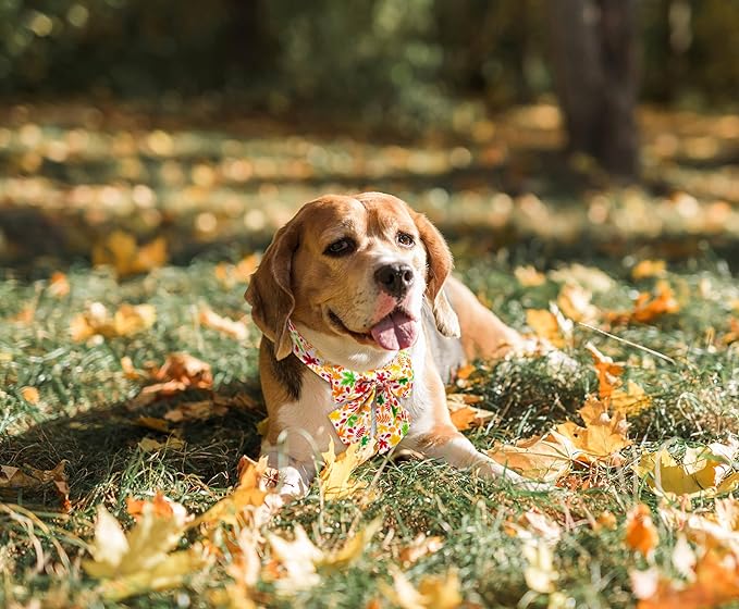 Tunkoo Fall Dog Collar with Elegant Bow Tie - Durable Adjustable Colorful and Stylish Cotton Pet Collar, Available in Small Medium Large, L