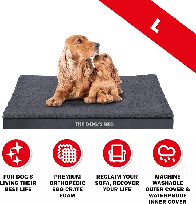 The Dog’s Bed Orthopedic Standard Foam Dog Bed Mattress, Plush Fabric, Grey, Large